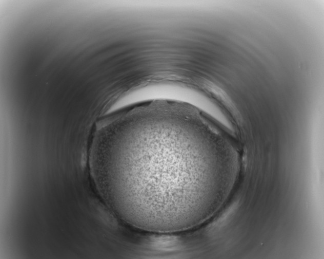 X0000088730833200706071638