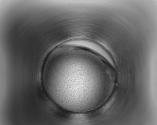 X0000088730834200706071638