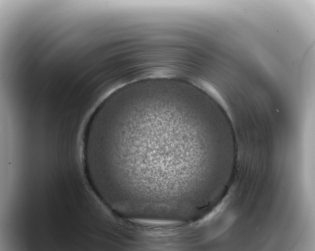 X0000088730835200706071638