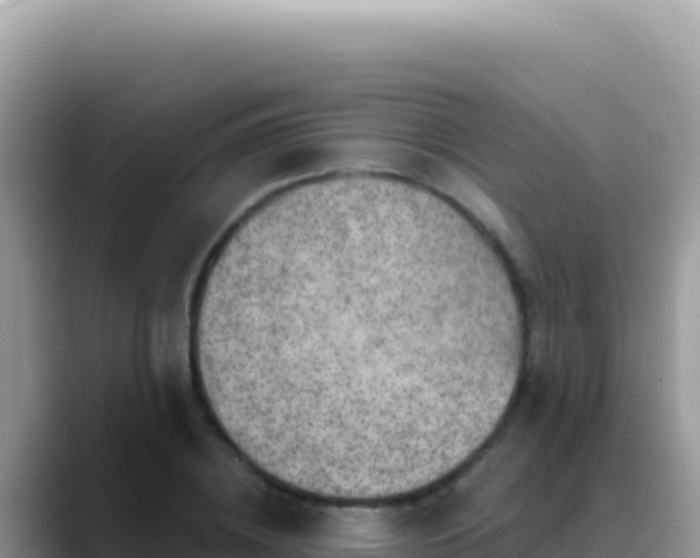 X0000088730836200706071638