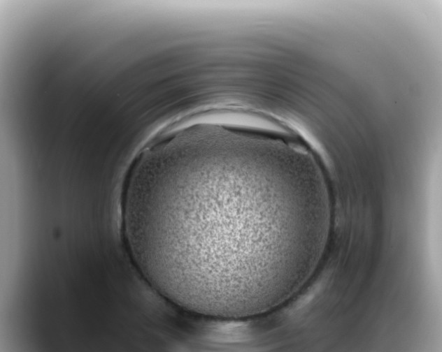 X0000088730837200706071638