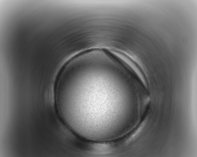 X0000088730838200706071638