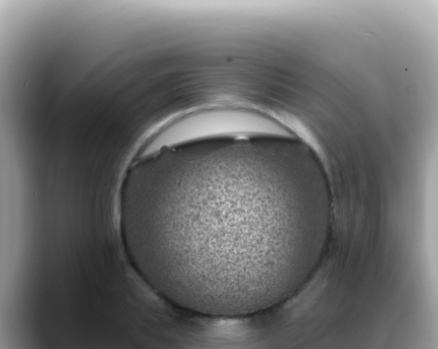 X0000088730839200706071638