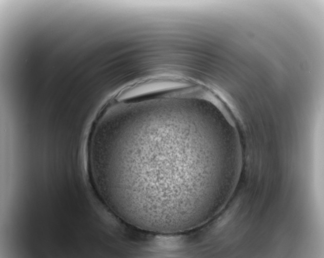 X0000088730840200706071638
