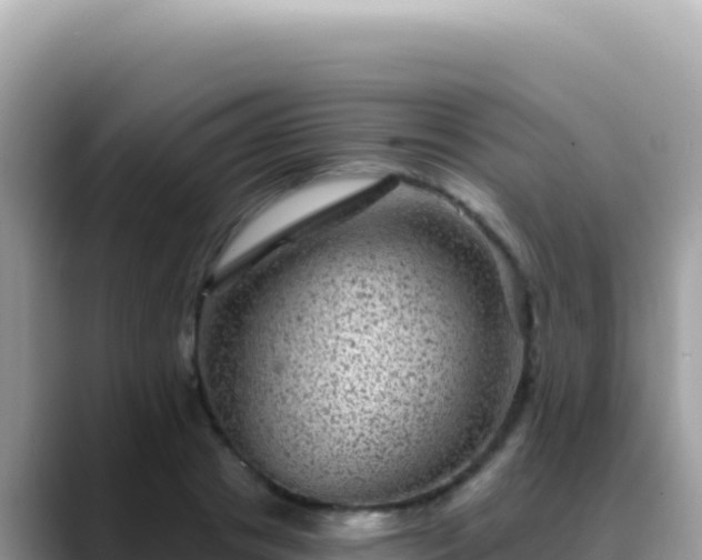 X0000088730841200706071638