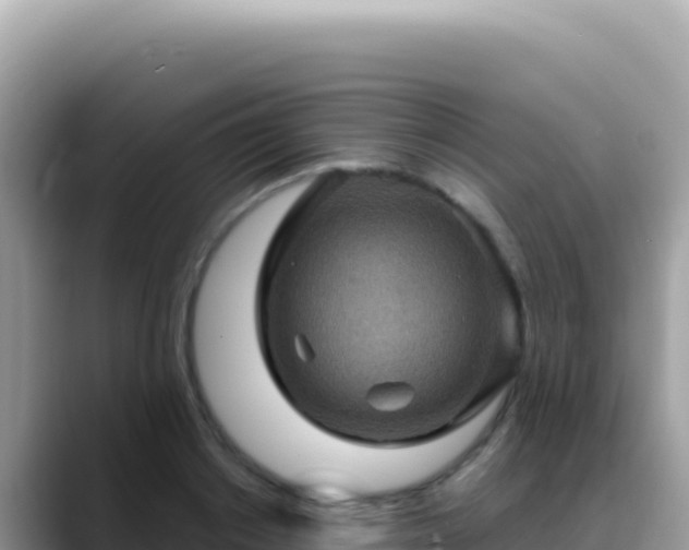 X0000088730842200706071638