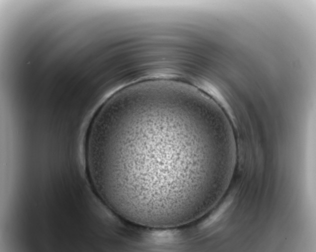 X0000088730843200706071638