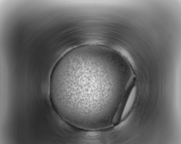 X0000088730844200706071638