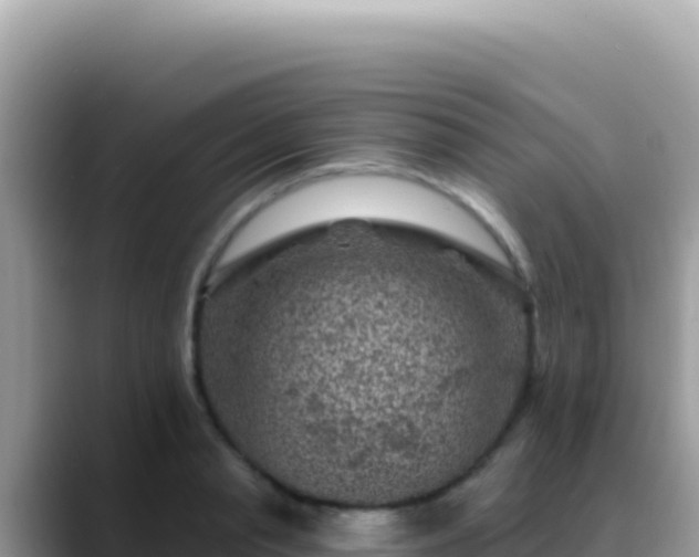 X0000088730845200706071638