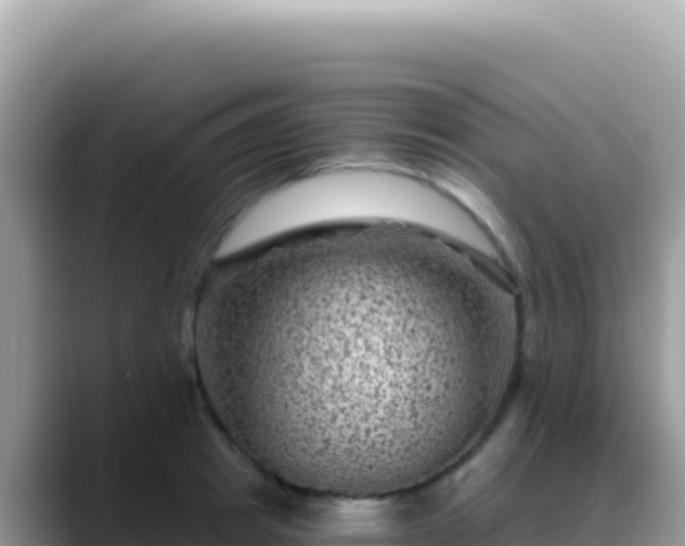 X0000088730849200706071638