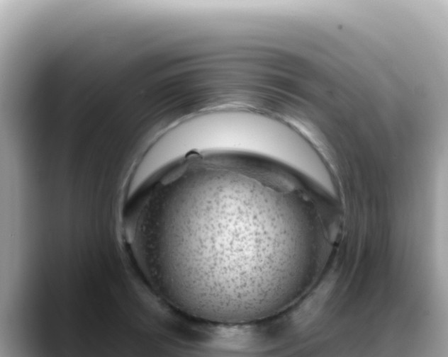 X0000088730850200706071638
