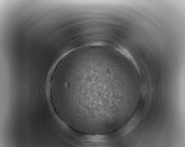 X0000088730851200706071638