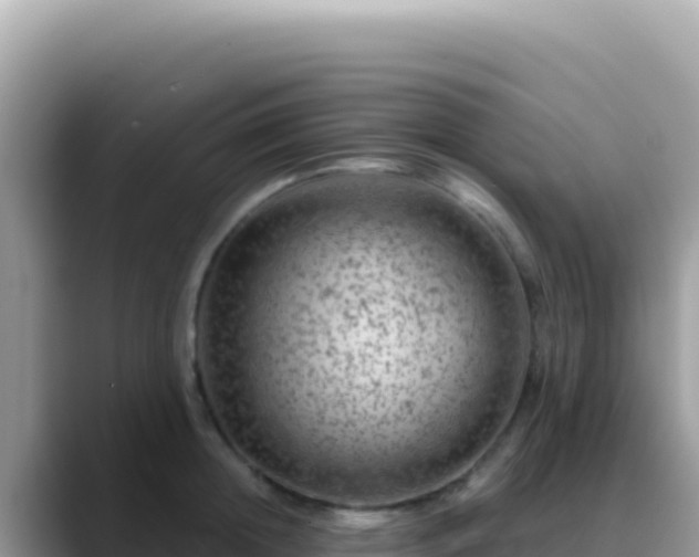 X0000088730852200706071638