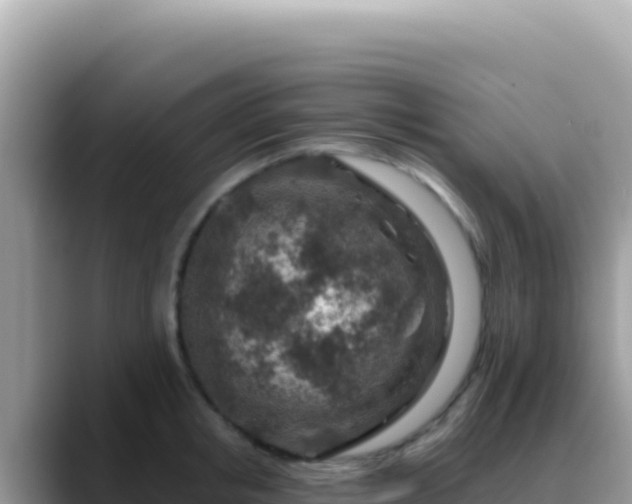 X0000088730853200706071638