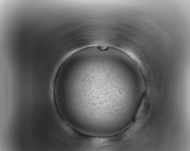 X0000088730854200706071638
