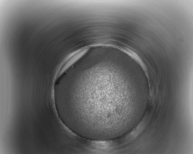 X0000088730855200706071638