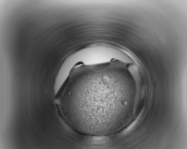 X0000088730857200706071638