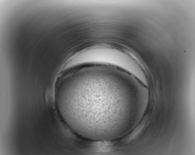 X0000088730858200706071638