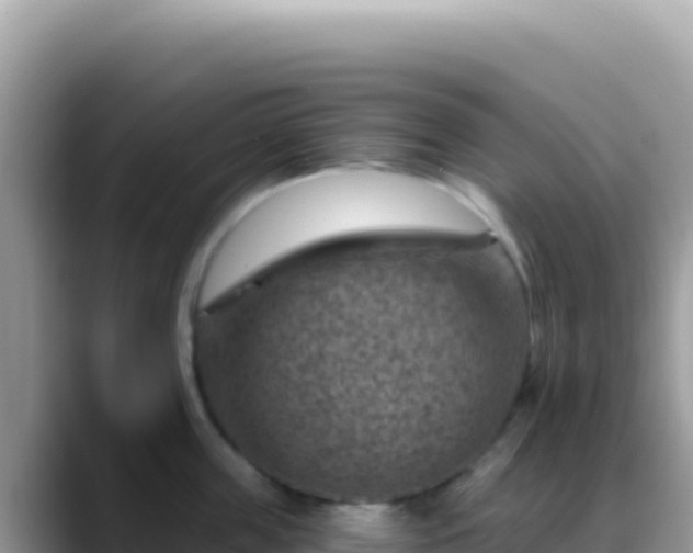 X0000088730859200706071638