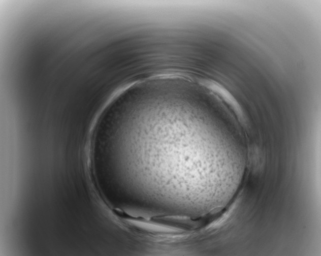 X0000088730860200706071638