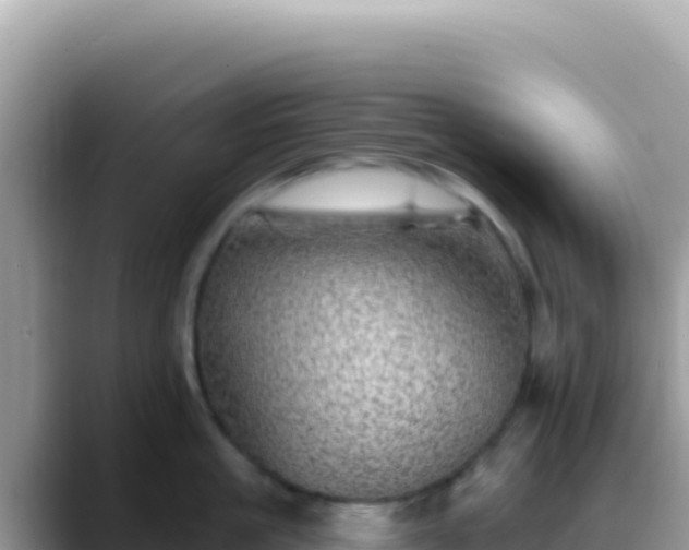 X0000088730861200706071638