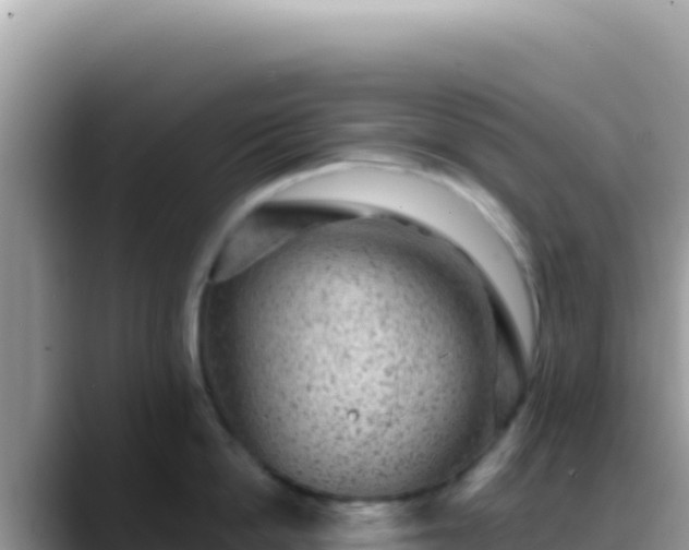 X0000088730862200706071638