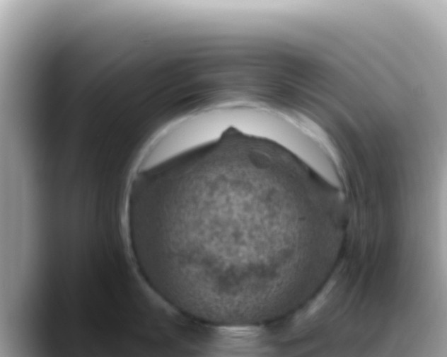 X0000088730863200706071638