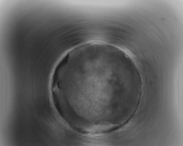 X0000088730864200706071638