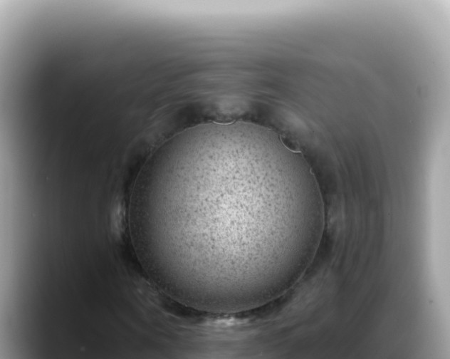 X0000088730866200706071638