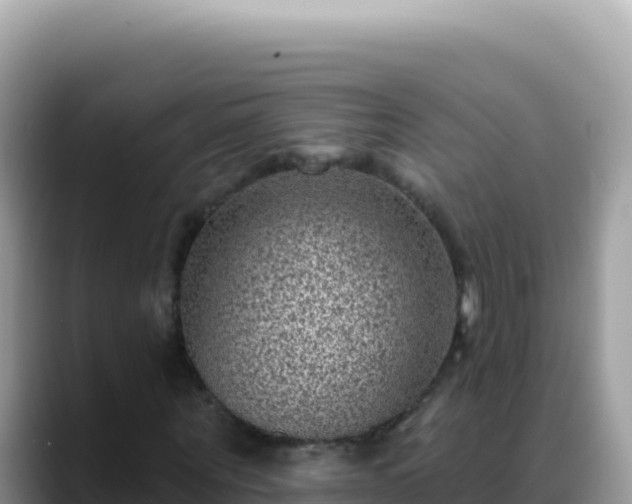 X0000088730867200706071638