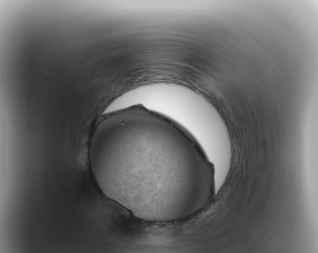 X0000088730868200706071638