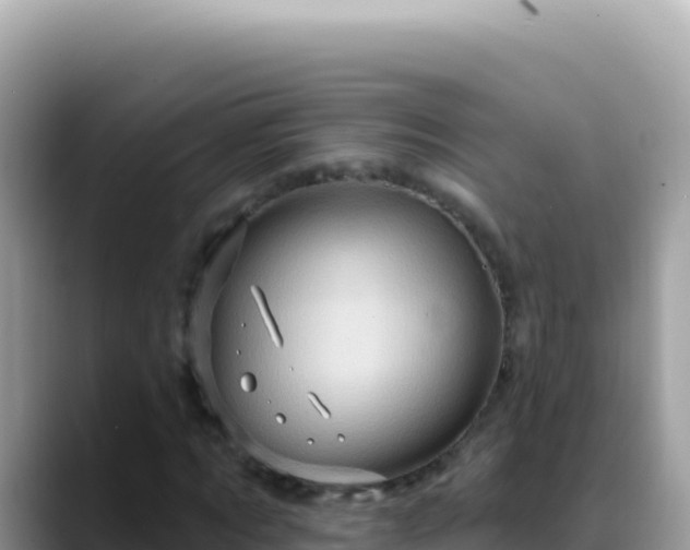 X0000088730869200706071638