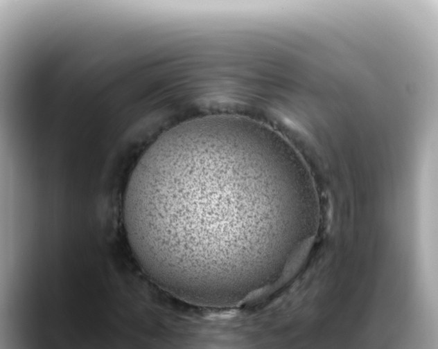 X0000088730870200706071638