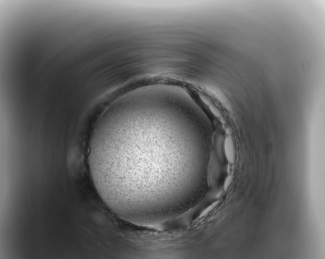 X0000088730872200706071638