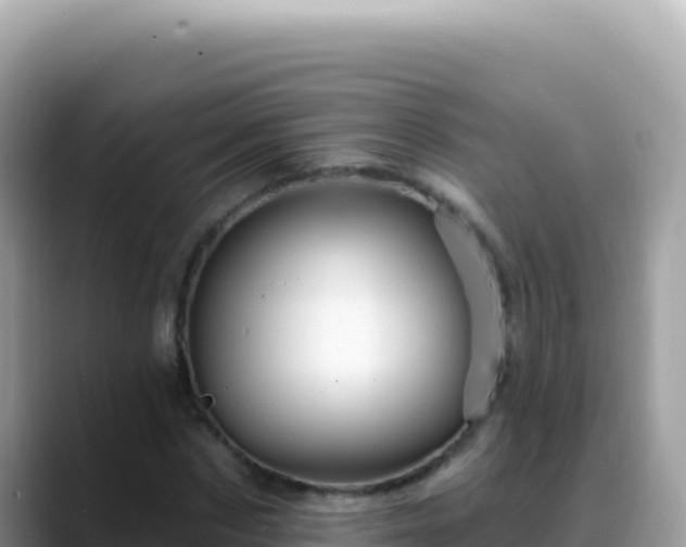 X0000088730873200706071638