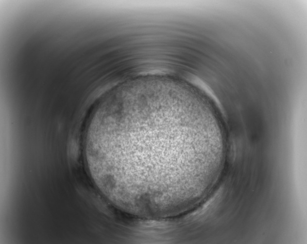 X0000088730874200706071638