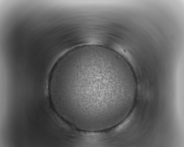 X0000088730875200706071638