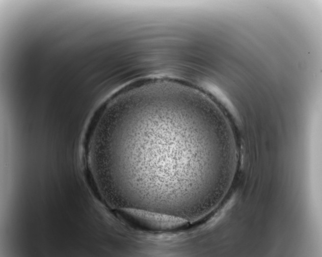X0000088730876200706071638
