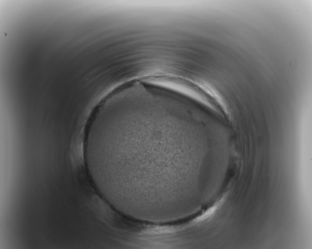 X0000088730877200706071638