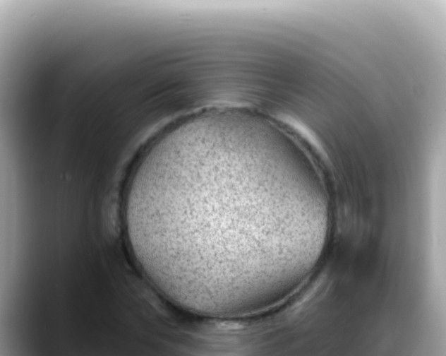 X0000088730878200706071638