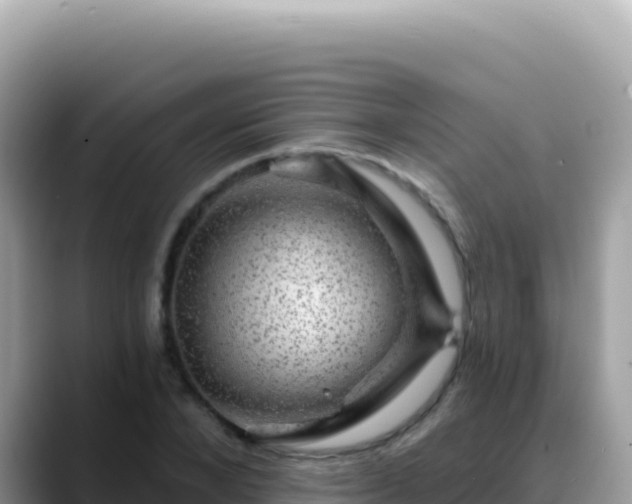 X0000088730880200706071638