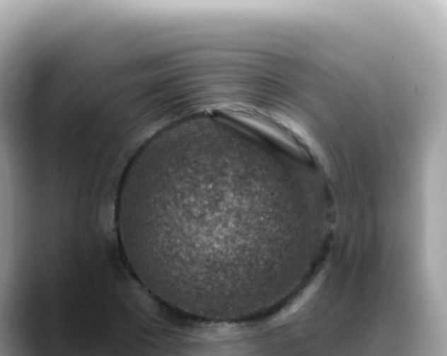X0000088730881200706071638