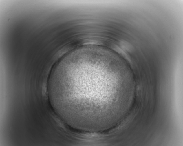 X0000088730882200706071638