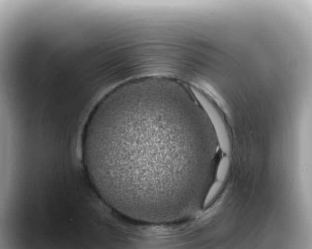 X0000088730883200706071638