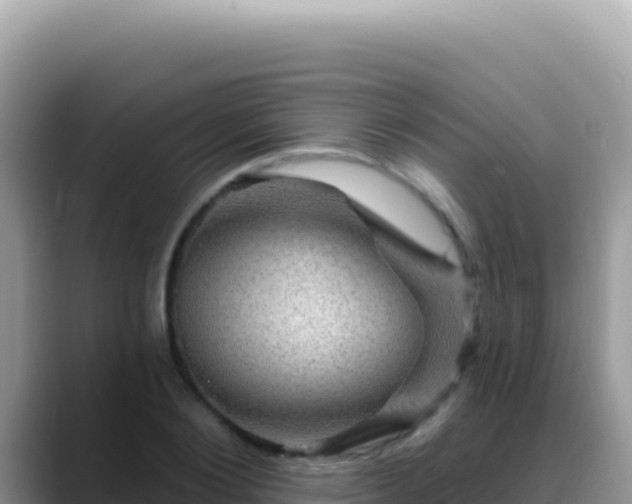 X0000088730884200706071637