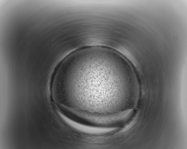 X0000088730885200706071637