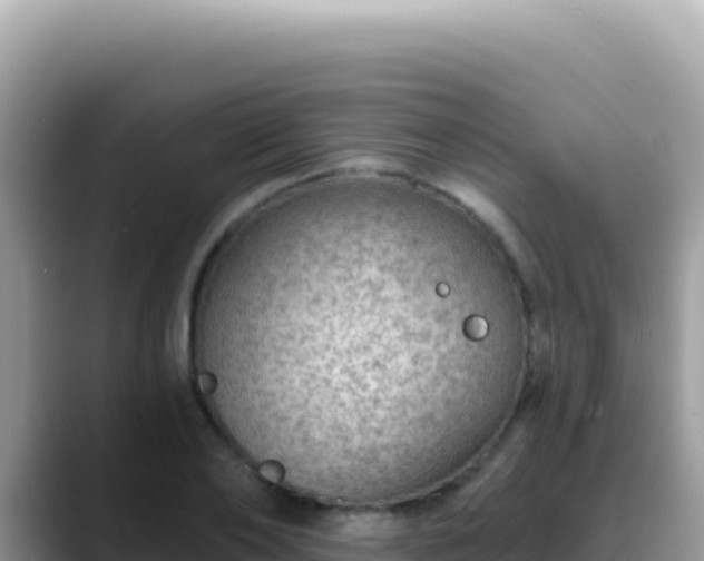 X0000088730886200706071637