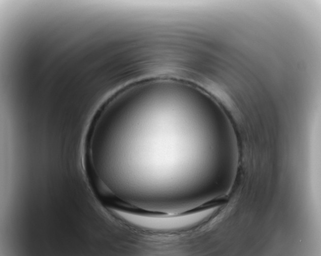 X0000088730888200706071637