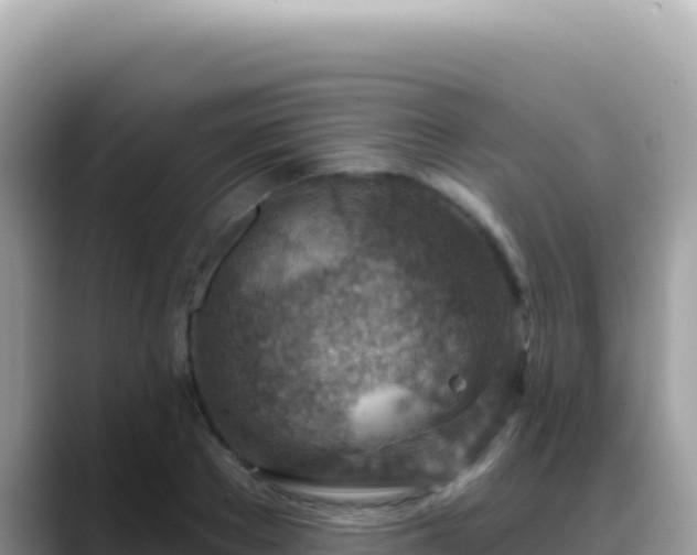 X0000088730889200706071637