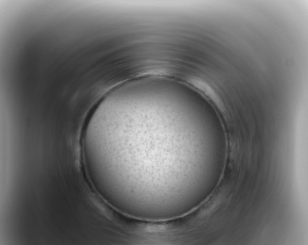 X0000088730890200706071637